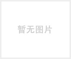 HVBSP-CS-60A智能压力校验仪